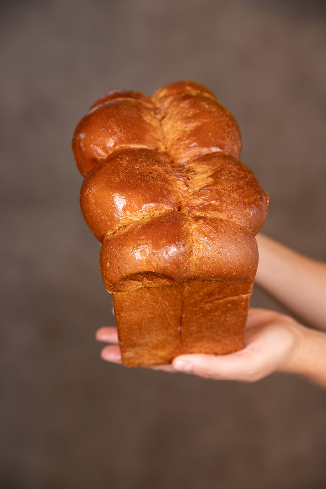 Pão Brioche